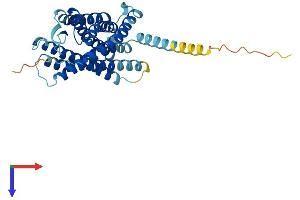 PTAFR Protein (AA 1-342) (His tag)