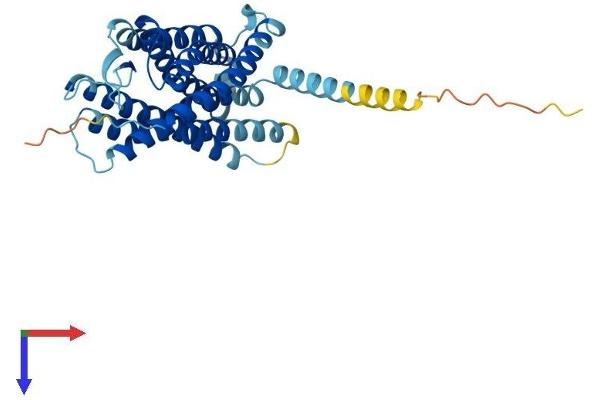PTAFR Protein (AA 1-342) (His tag)