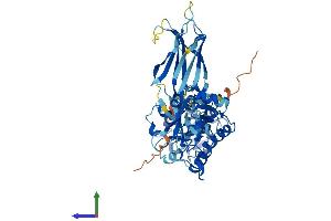 AlphaFold protein structure predicition of Mouse Recombinant Cpne7 Protein, UniprotID Q0VE82