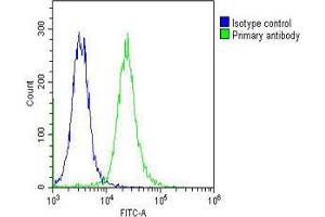 Overlay histogram showing K562 cells stained with Antibody (green line).
