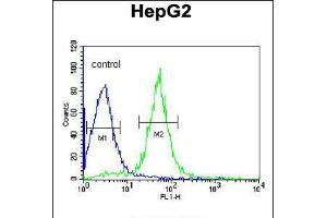 Flow cytometric analysis of HepG2 cells (right histogram) compared to a negative control cell (left histogram). (AIFM2 Antikörper  (C-Term))
