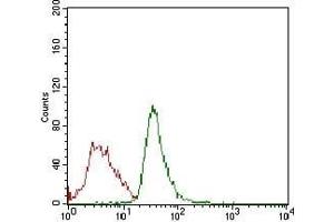 Flow cytometric analysis of Jurkat cells using RB1 mouse mAb (green) and negative control (red). (Retinoblastoma 1 Antikörper  (AA 745-928))
