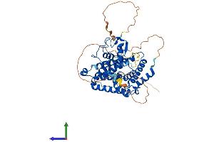 Protein Structure (PS) image for Nuclear Receptor Subfamily 6, Group A, Member 1 (NR6A1) (AA 1-480) protein (His tag) (ABIN7549925)