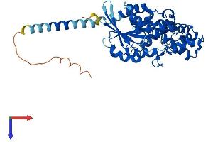AlphaFold protein structure predicition of Human Recombinant GNA12 Protein, UniprotID Q03113