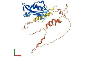 Protein Structure (PS) image for Interferon Stimulated Exonuclease Gene 20kDa (ISG20) (AA 1-300) protein (His tag) (ABIN7561661)