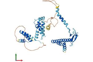 Protein Structure (PS) image for DnaJ (Hsp40) Homolog, Subfamily B, Member 14 (DNAJB14) (AA 1-379) protein (His tag) (ABIN7556970)
