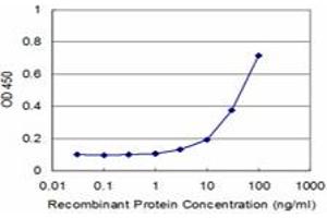 Detection limit for recombinant GST tagged SNCB is approximately 3ng/ml as a capture antibody. (beta Synuclein Antikörper  (AA 1-134))