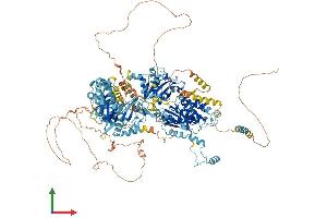 AlphaFold protein structure predicition of Mouse Recombinant Pnpla6 Protein, UniprotID Q3TRM4 (PNPLA6 Protein (AA 1-1355) (His tag))