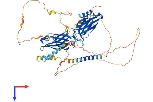 Synaptotagmin 3 Protein (AA 1-590) (His tag)