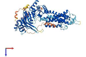 ABCG1 Protein (AA 1-666) (His tag)