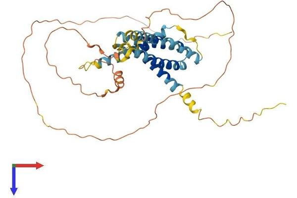 TMEM79 Protein (AA 1-391) (His tag)