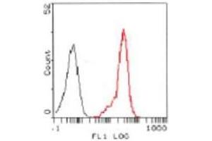 Image no. 1 for anti-Formyl Peptide Receptor 2 (FPR2) antibody (ABIN329919) (FPR2 Antikörper)