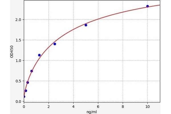 SP1 ELISA Kit