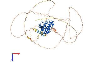 SMTNL1 Protein (AA 1-459) (His tag)