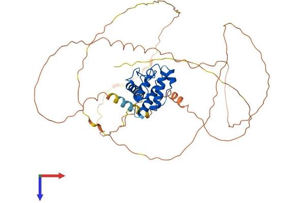 SMTNL1 Protein (AA 1-459) (His tag)