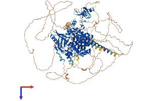 MTMR3 Protein (AA 1-1196) (His tag)