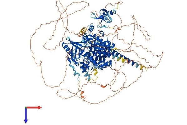 MTMR3 Protein (AA 1-1196) (His tag)