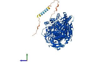 Protein Structure (PS) image for Glutamyl Aminopeptidase (Aminopeptidase A) (ENPEP) (AA 1-945) protein (His tag) (ABIN7562904)