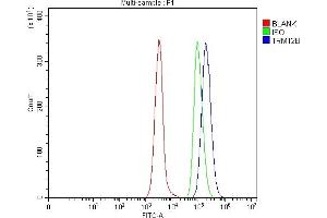 Flow Cytometry analysis of Daudi cells using anti-TRMT2B antibody (ABIN7599456). (TRMT2B Antikörper  (AA 1-504))