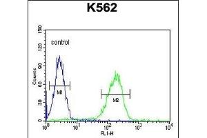 OL6 Antibody (Center) 10113c flow cytometric analysis of K562 cells (right histogram) compared to a negative control cell (left histogram). (APOL6 Antikörper  (AA 126-155))