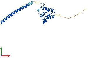 Protein Structure (PS) image for Leucine Zipper, Down-Regulated in Cancer 1 (LDOC1) (AA 1-151) protein (His tag) (ABIN7558256)