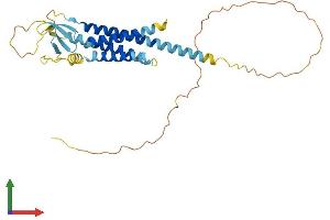 Protein Structure (PS) image for Calcium Channel, Voltage-Dependent, gamma Subunit 3 (CACNG3) (AA 1-315) protein (His tag) (ABIN7561611)