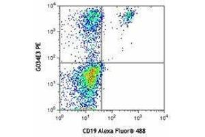 Flow Cytometry (FACS) image for anti-Chemokine (C-C Motif) Receptor 6 (CCR6) antibody (PE) (ABIN2662508) (CCR6 Antikörper  (PE))