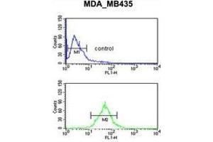 Flow Cytometry (FACS) image for anti-TCF3 (E2A) Fusion Partner (In Childhood Leukemia) (TFPT) (AA 67-97), (N-Term) antibody (ABIN955172)