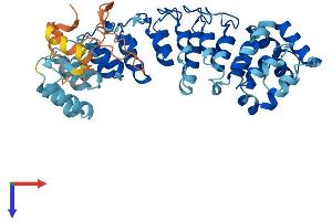 AlphaFold protein structure predicition of Human Recombinant ASB18 Protein, UniprotID Q6ZVZ8
