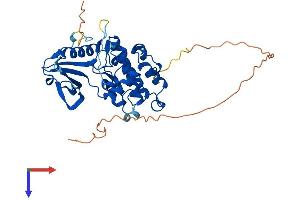 DRAK2 Protein (AA 1-372) (His tag)