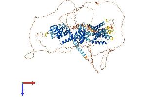 KCNH2 Protein (AA 1-1159) (His tag)