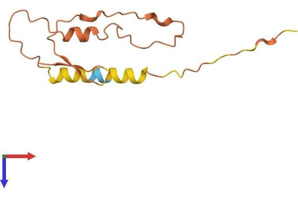 DSCR4 Protein (AA 1-118) (His tag)