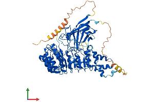 Protein Structure (PS) image for F-Box and Leucine-Rich Repeat Protein 4 (FBXL4) (AA 1-621) protein (His tag) (ABIN7558614)