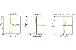 Flow Cytometry (FACS) image for anti-Cofilin 1 (CFL1) (AA 1-166) antibody (APC) (ABIN5566999) (Cofilin Antikörper  (AA 1-166) (APC))