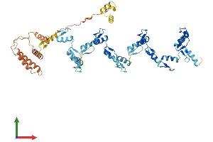 AlphaFold protein structure predicition of Human Recombinant ZNF676 Protein, UniprotID Q8N7Q3