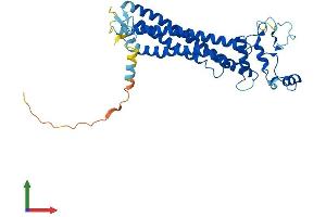 Protein Structure (PS) image for Retinal Outer Segment Membrane Protein 1 (ROM1) (AA 1-351) protein (His tag) (ABIN7551487)
