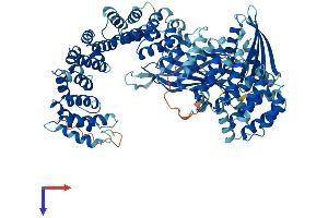 COPG Protein (AA 1-874) (His tag)