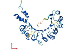 Protein Structure (PS) image for F-Box and Leucine-Rich Repeat Protein 12 (FBXL12) (AA 1-326) protein (His tag) (ABIN7561387)