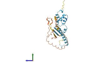 Protein Structure (PS) image for F-Box and Leucine-Rich Repeat Protein 22 (FBXL22) (AA 1-247) protein (His tag) (ABIN7547878)