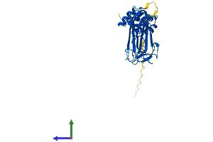 Protein Structure (PS) image for F-Box Protein 27 (FBXO27) (AA 1-283) protein (His tag) (ABIN7547626)