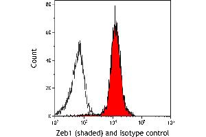anti-Zinc Finger E-Box Binding Homeobox 1 (ZEB1) (AA 1074-1124) antibody