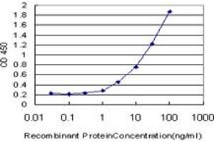 Detection limit for recombinant GST tagged AXL is approximately 1ng/ml as a capture antibody. (AXL Antikörper  (AA 30-140))