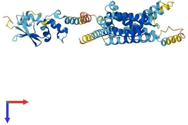 KCNG3 Protein (AA 1-433) (His tag)