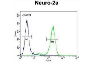 Flow Cytometry (FACS) image for anti-DEAD/H (Asp-Glu-Ala-Asp/His) Box Polypeptide 11 (DDX11) (AA 663-691), (Middle Region) antibody (ABIN951862)