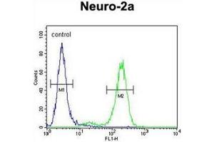 Flow cytometric analysis of Neuro-2a cells using DDX11 Antibody (Center) Cat. (DDX11 Antikörper  (Middle Region))