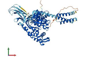 Protein Structure (PS) image for Heat Shock 70kDa Protein 1-Like (HSPA1L) (AA 1-641) protein (His tag) (ABIN7562906)