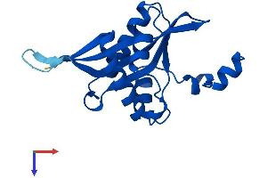 SAT2 Protein (AA 1-170) (His tag)