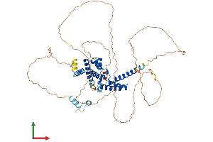 Protein Structure (PS) image for HNF1 Homeobox B (HNF1B) (AA 1-558) protein (His tag) (ABIN7563037)