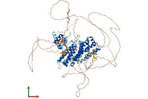 Protein Structure (PS) image for Regulatory Factor X 6 (RFX6) (AA 1-928) protein (His tag) (ABIN7555165)