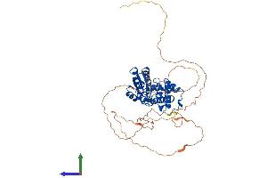 Protein Structure (PS) image for Eyes Absent Homolog 3 (EYA3) (AA 1-510) protein (His tag) (ABIN7563555)